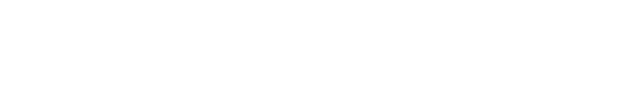 light logo